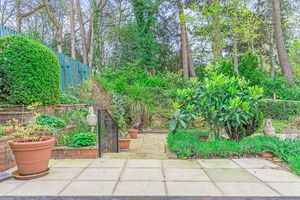 Photo 3- click for photo gallery